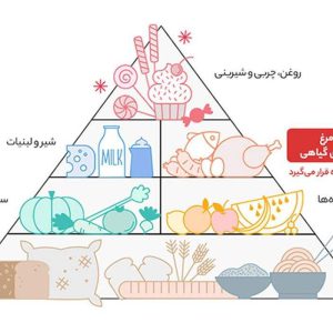 سینه مرغ پویا پروتئین – 1800 گرم